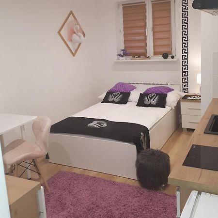 Apartamenty Centrum Panoramiczna Mala Dwojka Swan Labedz Promenada Klimatyzacja Lodowa Κίελτσε Εξωτερικό φωτογραφία